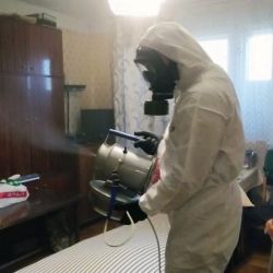 Дезинфекция от клопов в Егорьевске