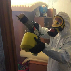 Уничтожение клопов в квартире. Егорьевск
